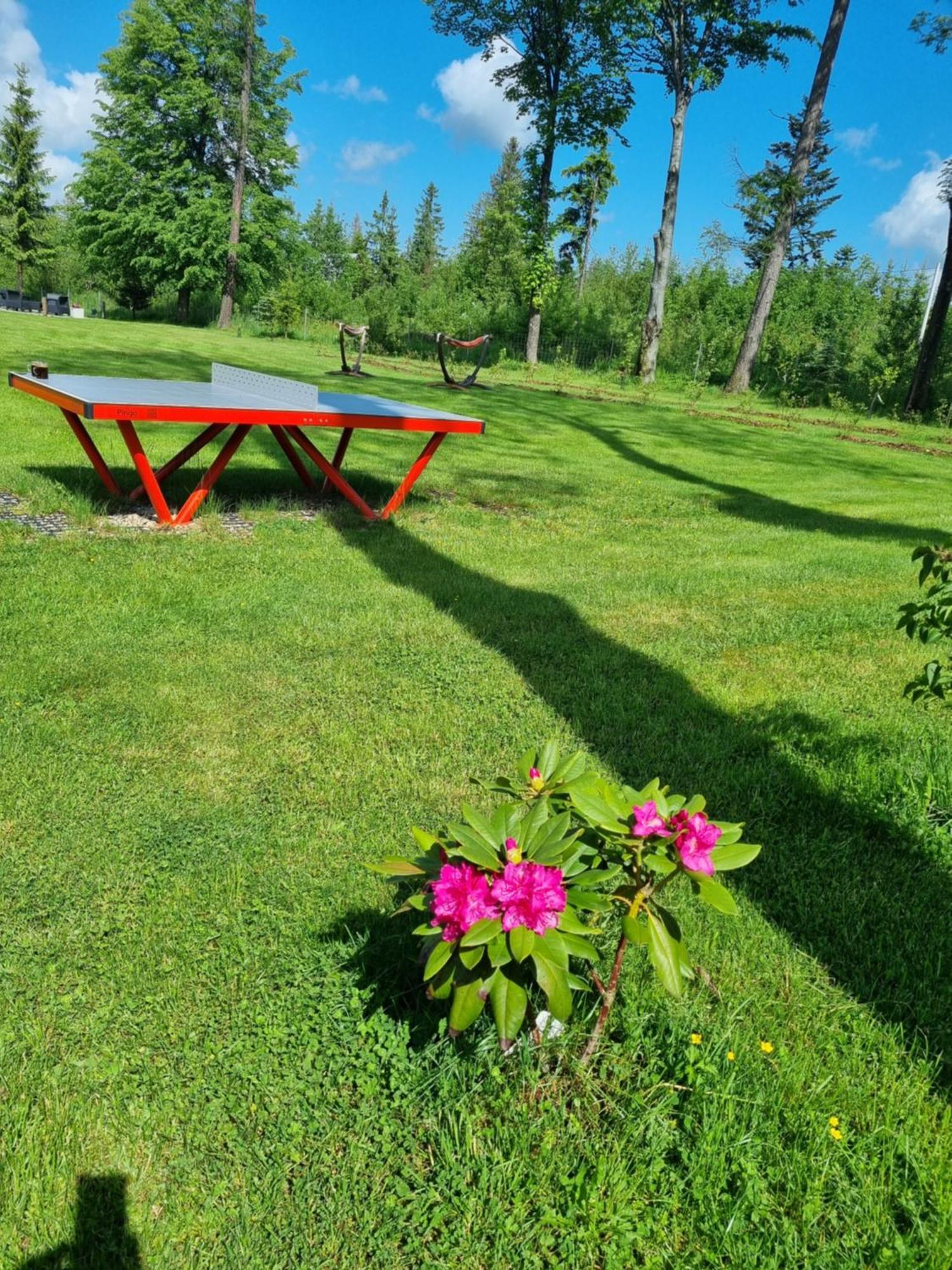 Bed and Breakfast Zakatek Pod Smrekami Kościelisko Exterior foto