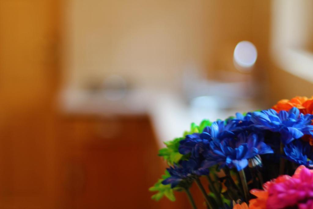 Bed and Breakfast Zakatek Pod Smrekami Kościelisko Zimmer foto
